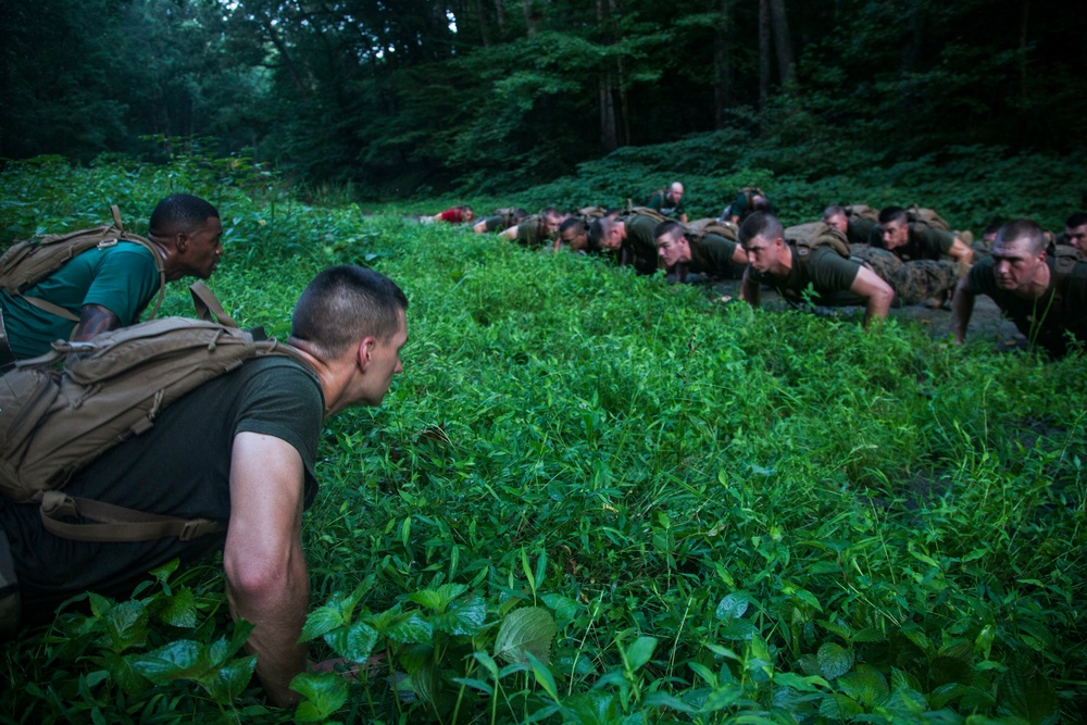 Alpha &amp; Charlie Co. Medal of honor run