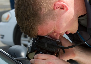Guardian Shield, 2016