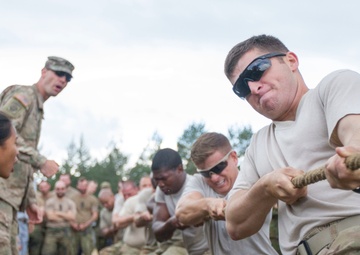 A friendly competition among allies