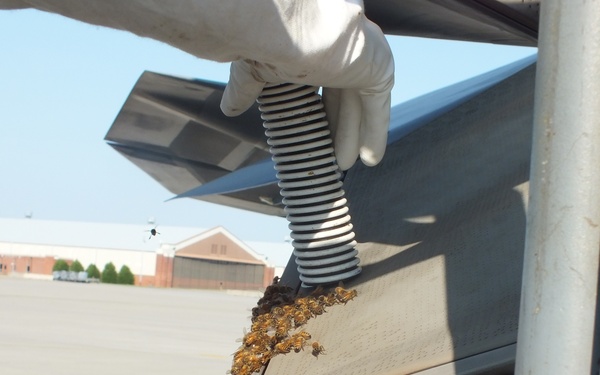 F-22 Raptor Provides Refuge for Honey Bees