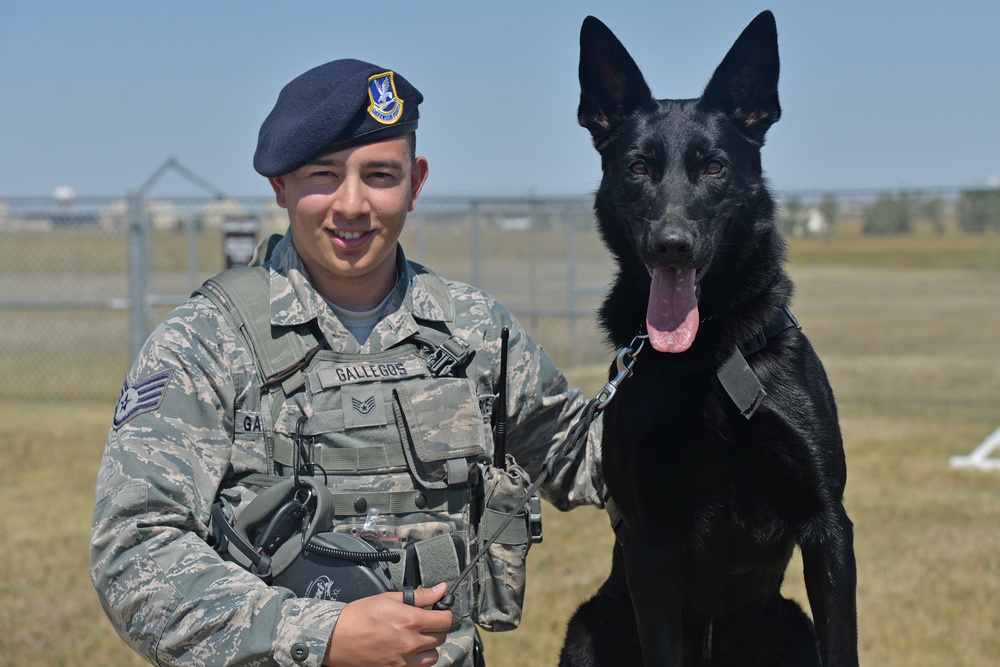 Airmen, K-9s protect national level conventions