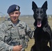 Airmen, K-9s protect national level conventions