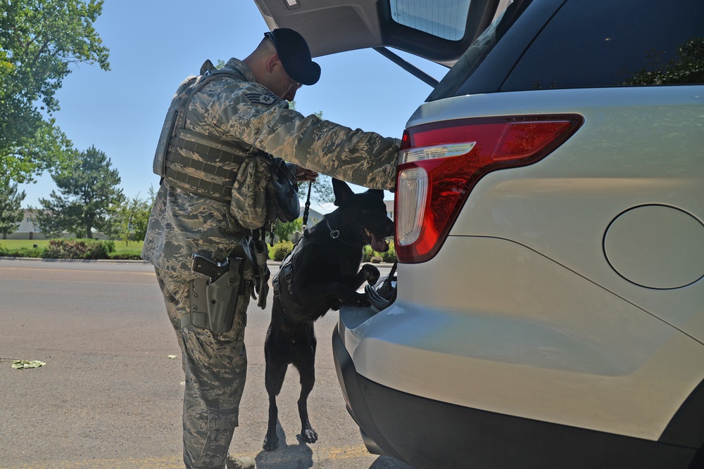 Airmen, K-9s protection national level conventions