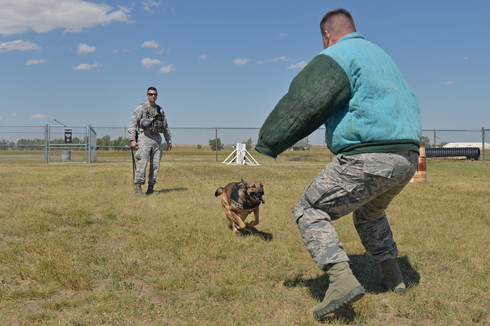 Airmen, K-9s protect national level conventions