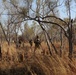 Marines kick off Exercise Koolendong 16 in Australia