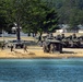 Marine Regiment rehearses amphibious assault