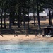 Marine Regiment rehearses amphibious assault