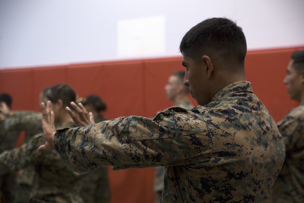 MAI Marines train with Okinawa Kenpo Master