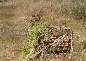 Big or small Pest Management takes care of them all