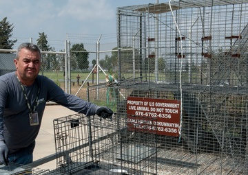 Big or small Pest Management takes care of them all