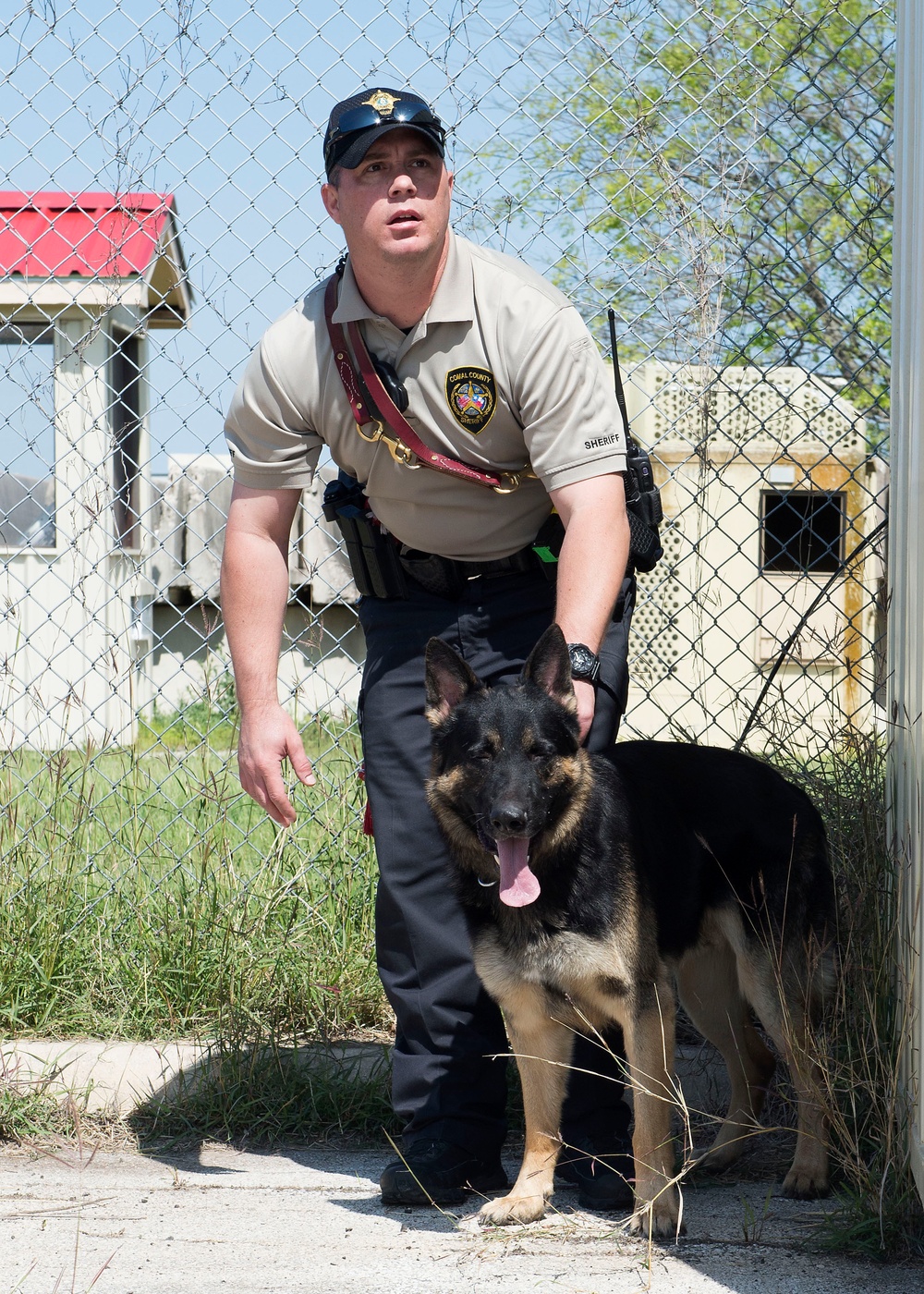 ◾902nd SFS partners with local K-9 unit for training exercise