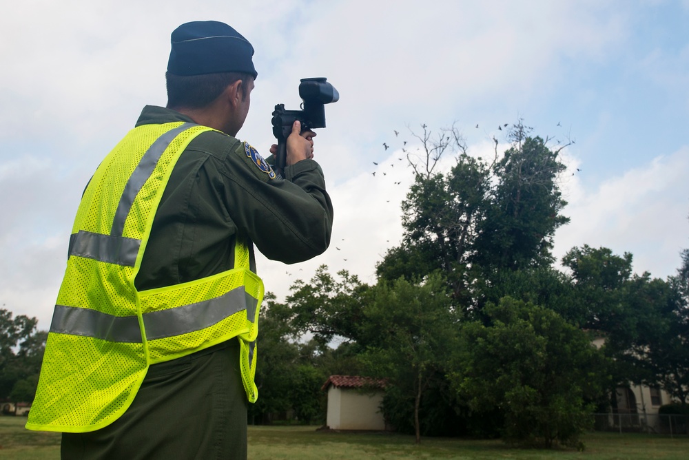 BASH program decreases bird strikes, makes air space safer for pilots