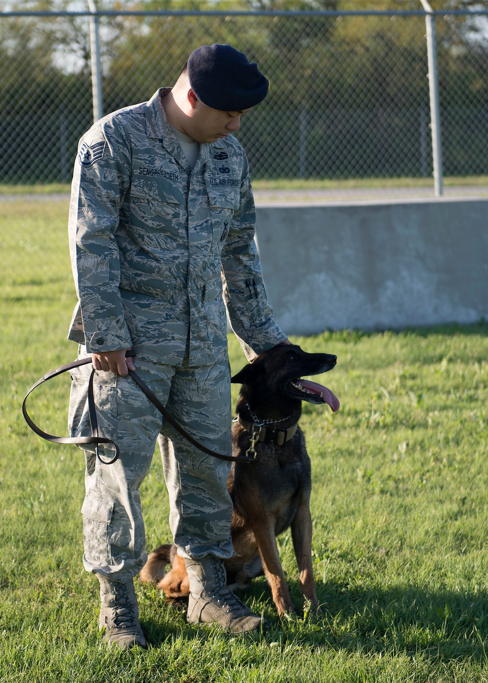 902nd SFS partners with local K-9 unit for training exercise