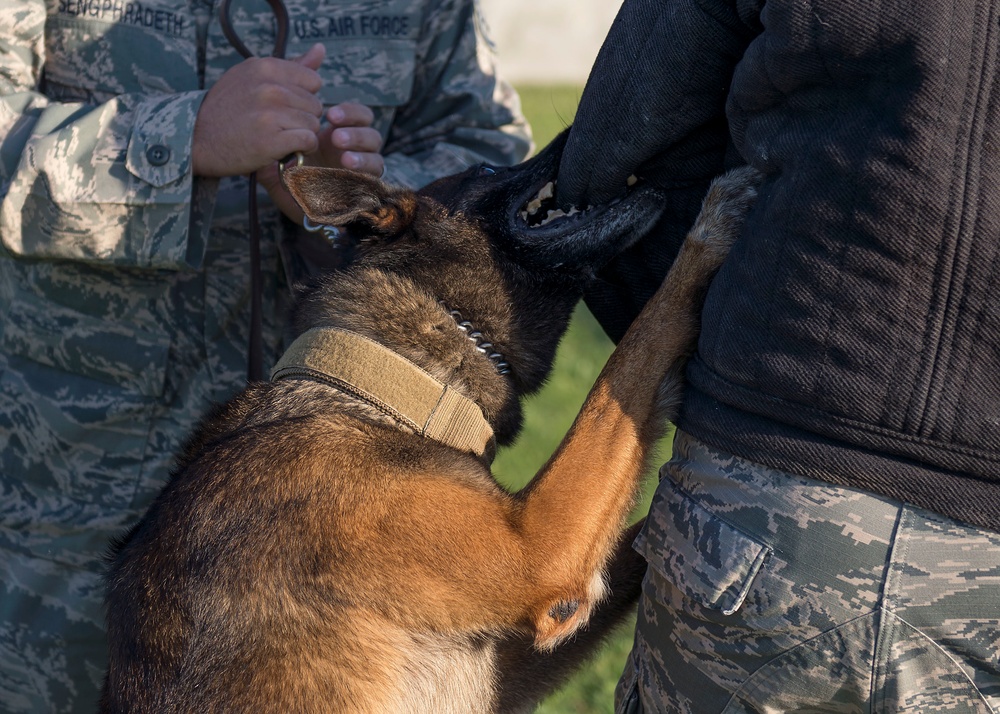 902nd SFS partners with local K-9 unit for training exercise