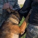 902nd SFS partners with local K-9 unit for training exercise