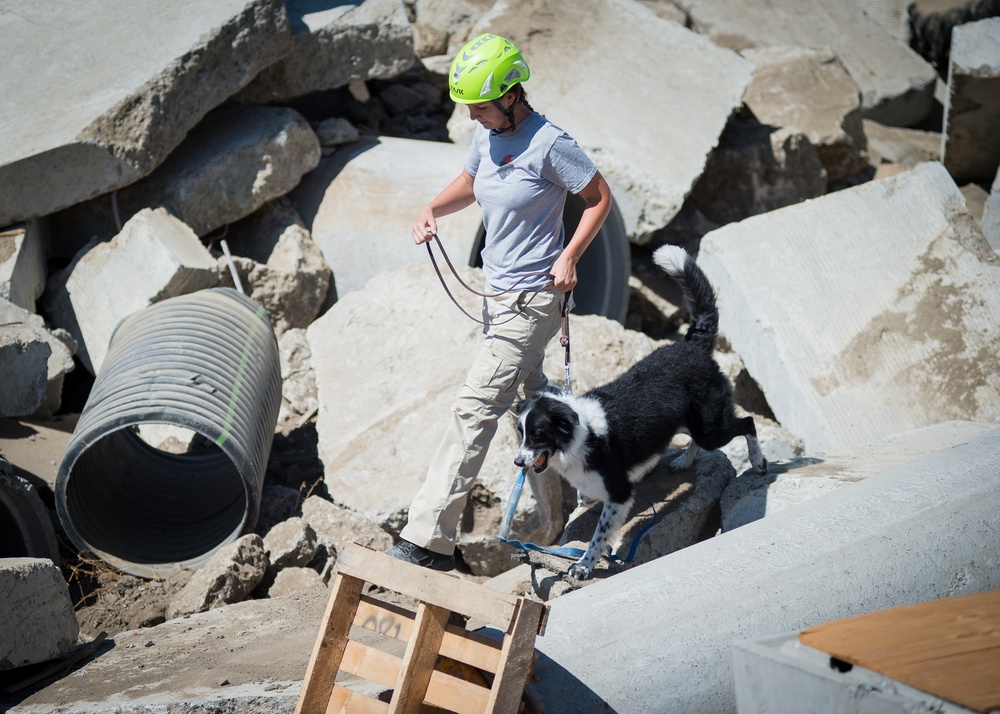 Locals Tour Ongoing Seabee Construction at Search Dog Training Center