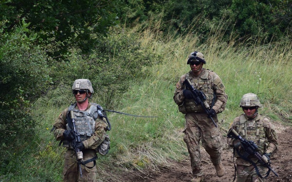 Warpaint Ride in Hungary ends with combined CALFEX Combined Arms Live Fire Exercise