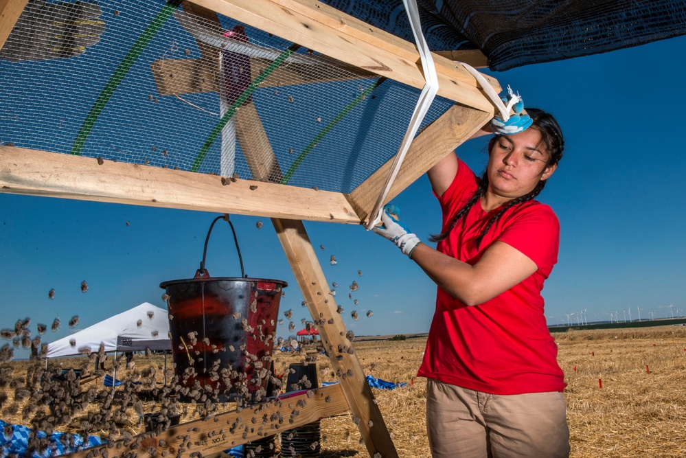 DPAA Conducts Search and Recovery Efforts in Germany