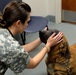 VTF takes care of animal companions