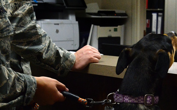 VTF takes care of animal companions