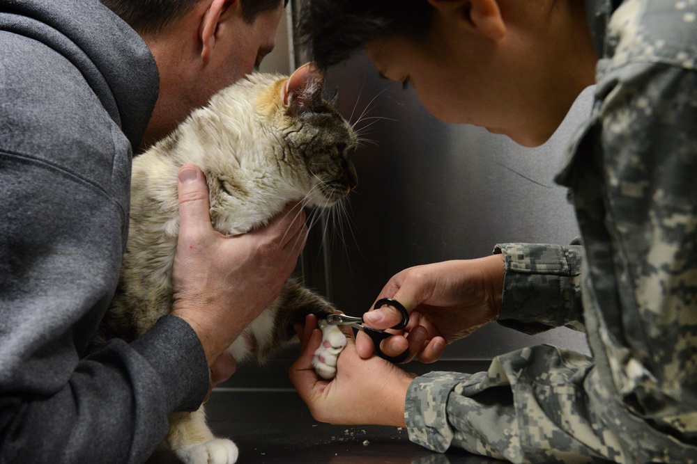 VTF takes care of animal companions