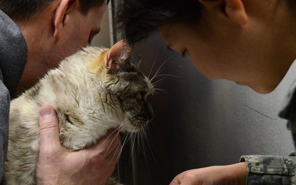 VTF takes care of animal companions