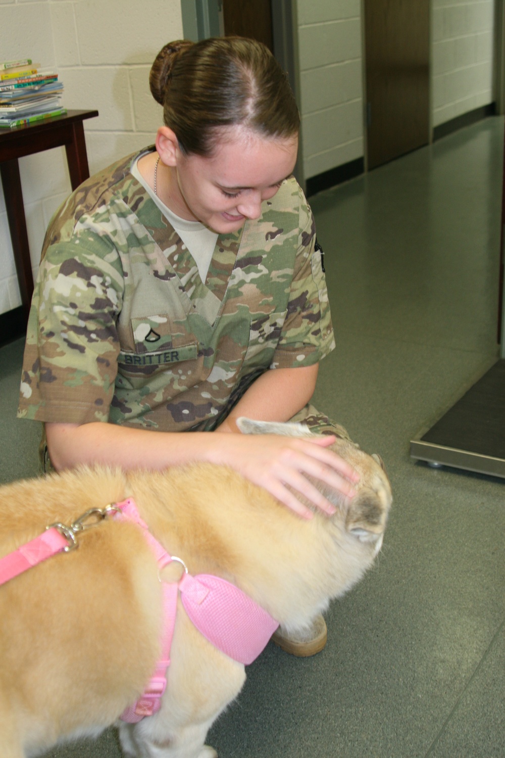 Military working dogs to DoD fur friends receive health care aboard base