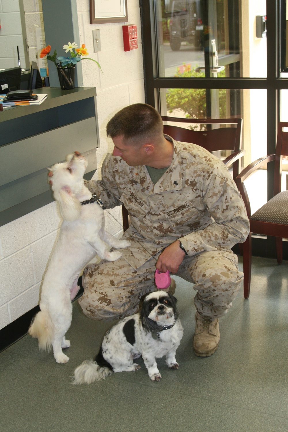 Military working dogs to DoD fur friends receive health care aboard base