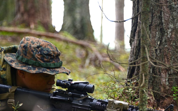 A soldier in woodland camouflage is lying prone in a forested area, aiming a rifle equipped with an optical scope and underbarrel attachment. The individual is wearing a boonie hat with a digital camouflage pattern consistent with MARPAT (Marine Pattern), suggesting U.S. Marine Corps affiliation. The scene appears to depict a field training exercise or tactical operation in a dense woodland environment.