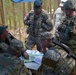 Michigan Guard, Marines, and Zemessardzes focus on interoperability during Strong Guard 2016 in Latvia