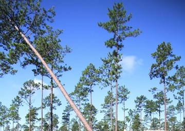 Army, Marines engineers team up for joint force training