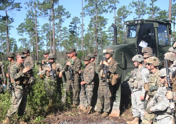 Army, Marines engineers team up for joint force training