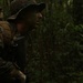 Marines Patrol the Jungle