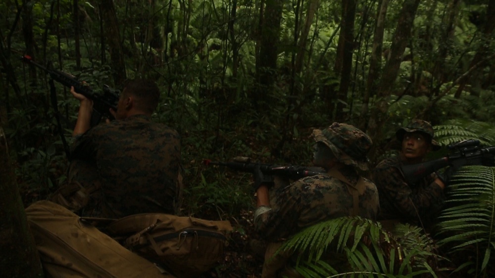 Marines Patrol the Jungle