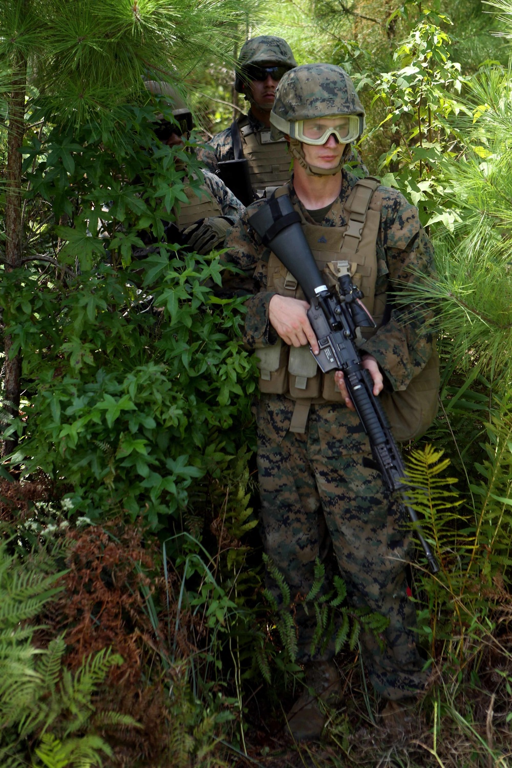 Marines with 2nd TSB counduct Live-Fire drills