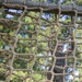 Marine recruits push past obstacles on Parris Island confidence course