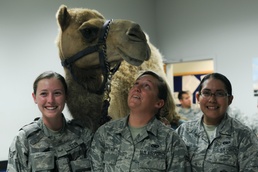 Get over the hump