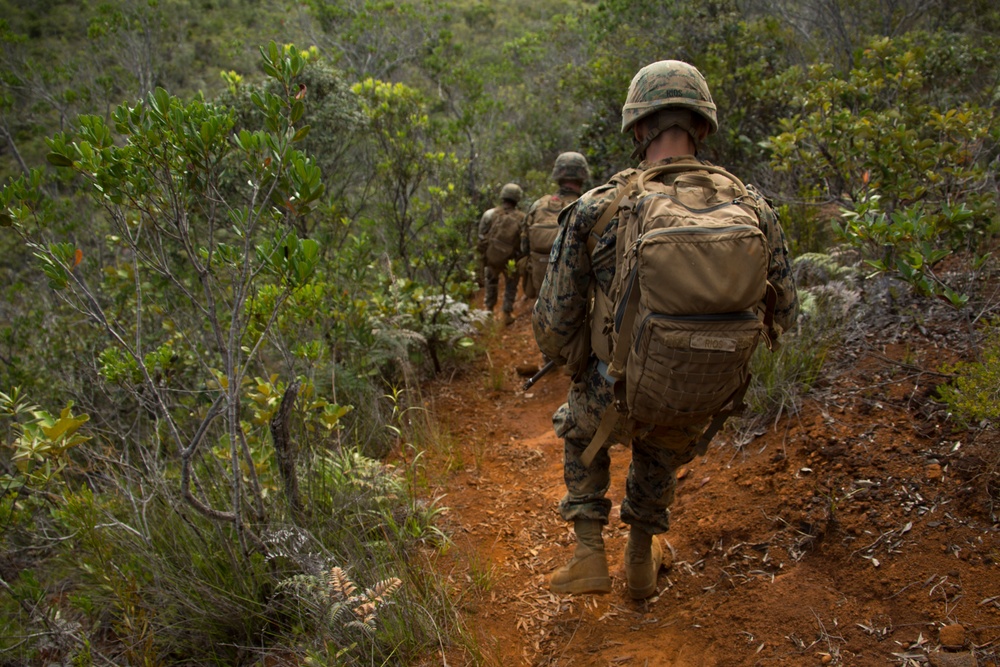 U.S. Marines patrol through Riviére des Pirogues Shooting Range