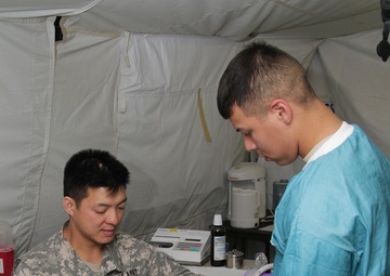 Army Reserve dental specialist refine skills in field operations