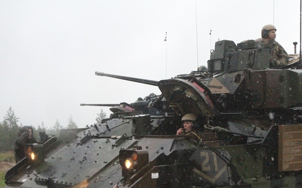 Dog Face Soldiers train with Estonian Armor School