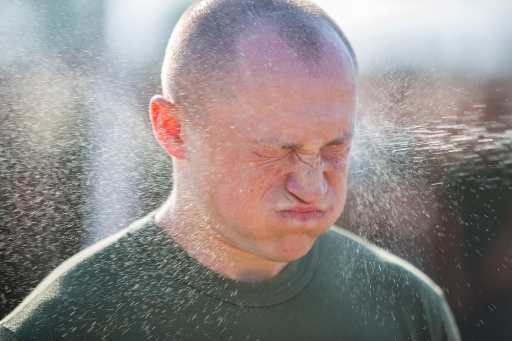 Non-lethal Weapons Training