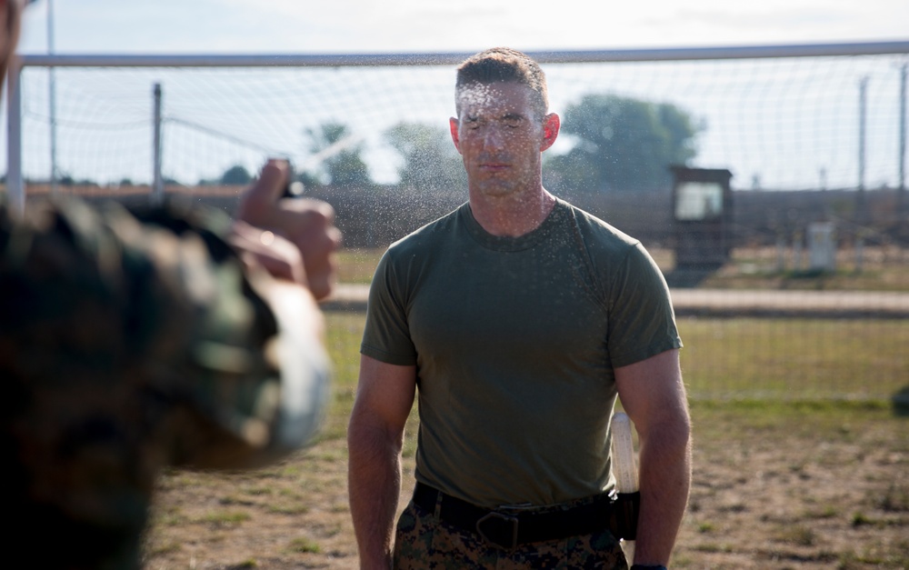 Non-leathal Weapons Training