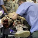 Operation Global Medic