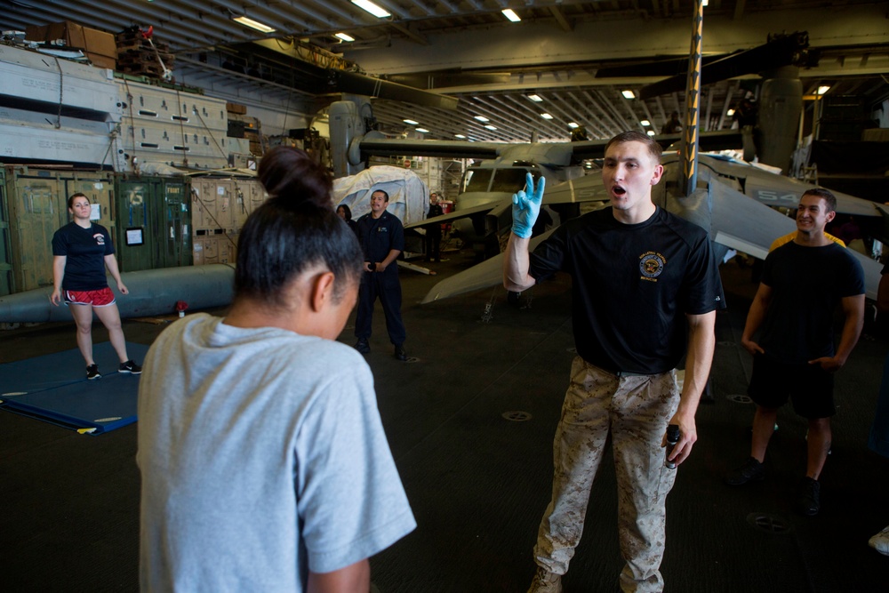 22nd MEU Marines Teach Wasp Sailors Non-Lethal Tactics