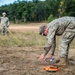 Exercise Northern Strike 2016