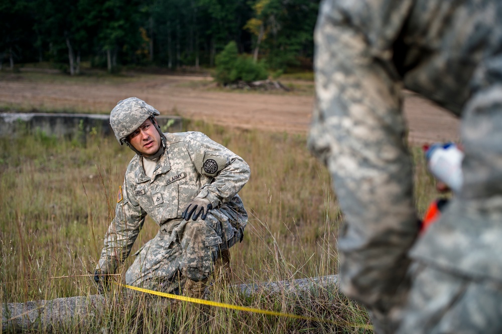 Exercise Northern Strike 2016