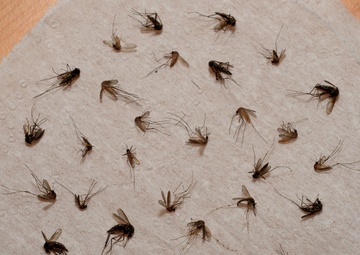 Notice of Norfolk District mosquito spraying Wednesday