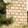 Jackal Stone 16