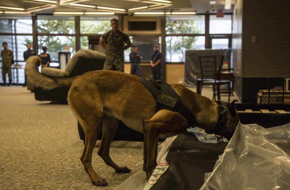 MCAS Joint K-9 Traning
