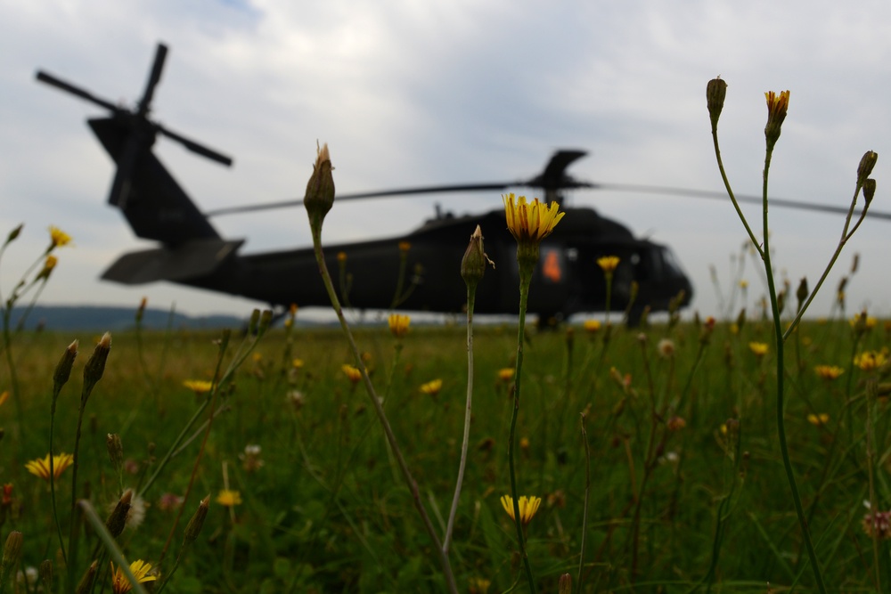 Airborne Operations in Germany